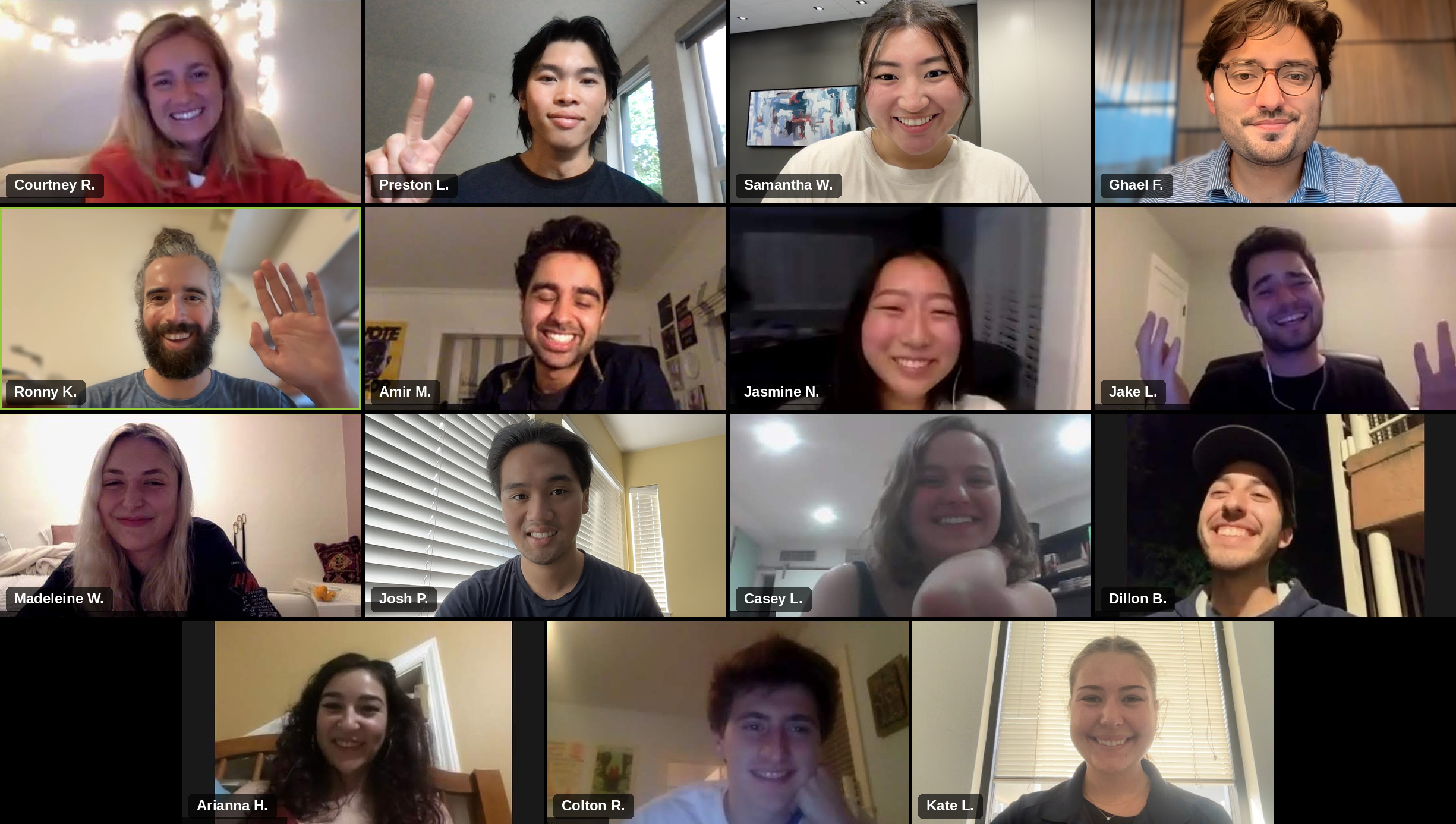 Members of the dearCC community on a video call